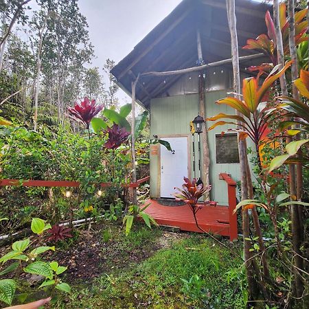 Cabin 2-Rustic Private Stay Near Volcano National Park Fern Forest 外观 照片